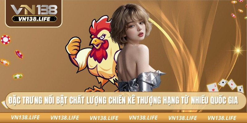 Đặc trưng nổi bật chất lượng chiến kê thượng hạng từ nhiều quốc gia