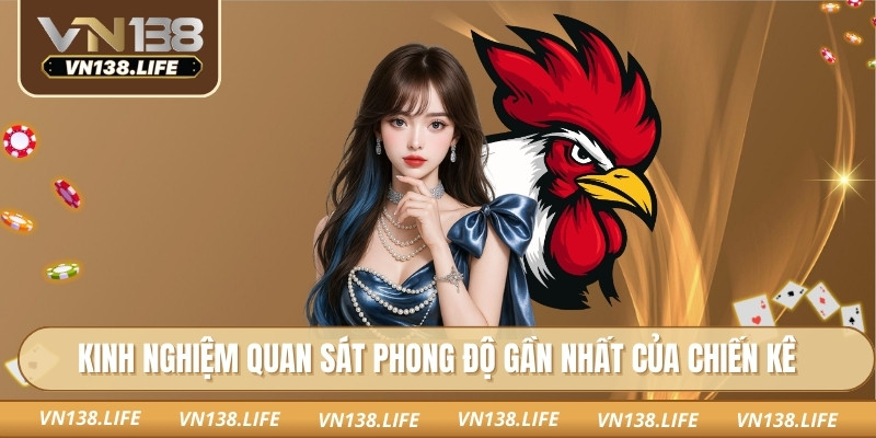Kinh nghiệm quan sát phong độ gần nhất của chiến kê