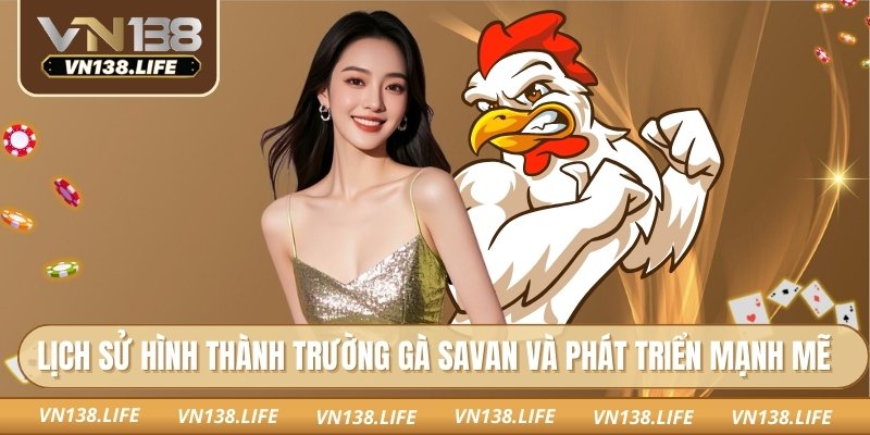 Lịch sử hình thành trường gà Savan và phát triển mạnh mẽ