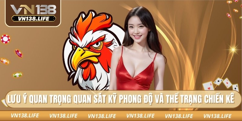 Lưu ý quan trọng quan sát kỹ phong độ và thể trạng chiến kê