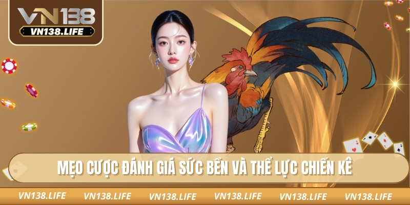 Đá Gà Mộc Bài Tại Vn138 - Đẹp Từng Đường Đá Tự Nhiên 3 Mẹo cược đánh giá sức bền và thể lực chiến kê
