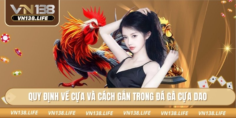 Quy định về cựa và cách gắn trong đá gà cựa dao