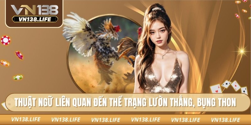 Thuật ngữ liên quan đến thể trạng lườn thẳng, bụng thon